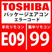 東芝　パッケージエアコン　エラーコード：E09 / 99　「内機・外機通信回路異常」（外気側検出）　【インターフェイス基板】